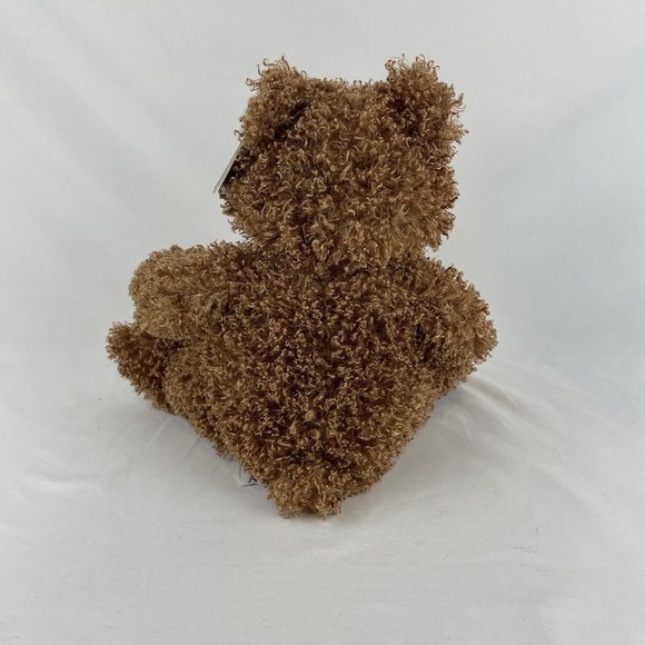 Family Christian Stores Brown Teddy Bear 12” Plush Curly Fur James Fund w/Tags - Picture 3 of 10